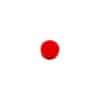 1204.24 Photoroom
