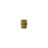 Brass Coupler 1 4 FPT 8.705 151.0