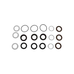 RW 20MM SEAL KIT COMET 5019.0672.00 Photoroom