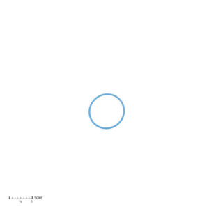 0.9772120020176940221693493065.jpg
